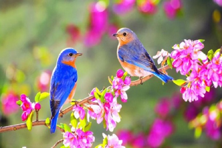 Прогноз погоды в Казахстане на 1 мая