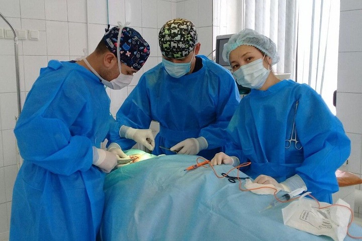 Алматыда дәрігерлер 50 жастағы әйелдің өмірін құтқарды