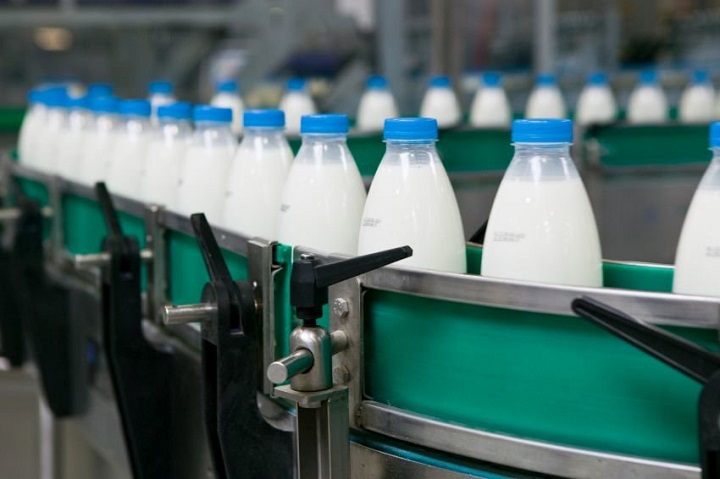 В СКО возросли объемы производства молока на 5,5%