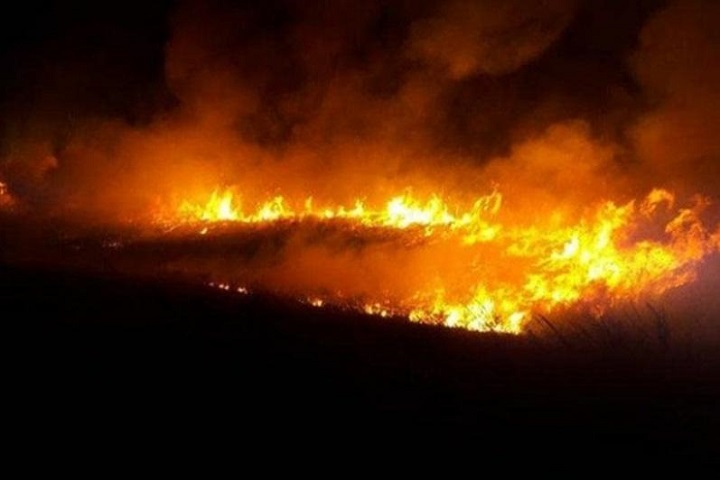 Пожар из-за грозового разряда произошел на границе Китая и Казахстана