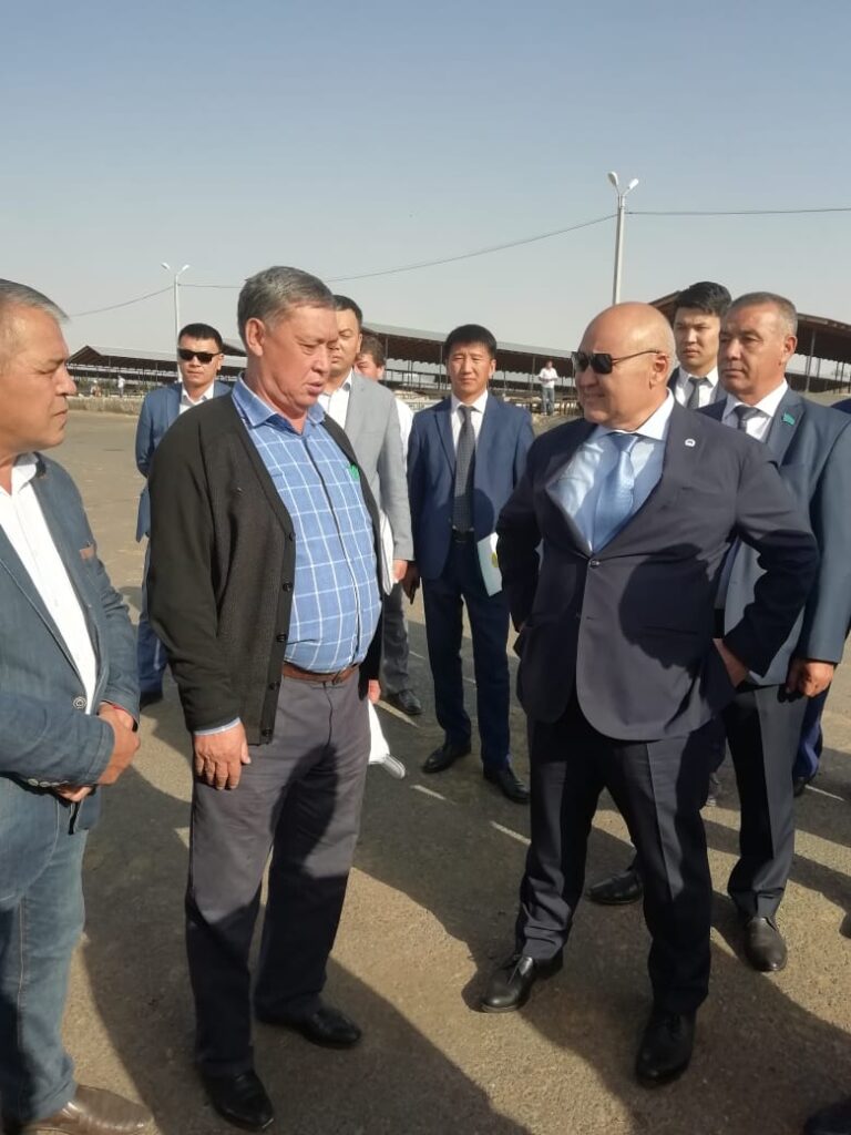 Жители села Карабулак в Туркестанской области просят открыть скотный рынок
