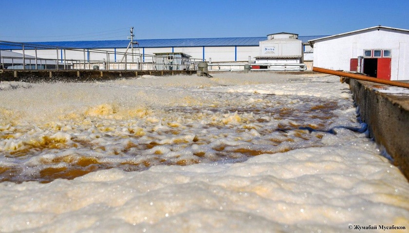 Решение многолетней проблемы: Жаркентский крахмало-паточный завод установил очистительное сооружение на 1 миллиард тенге
