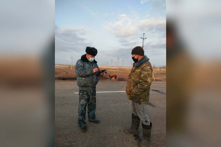 Советы полиции: как уберечь скот от кражи