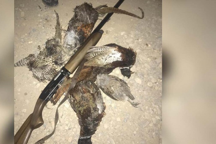 За незаконную охоту задержан егерь в Жамбылской области