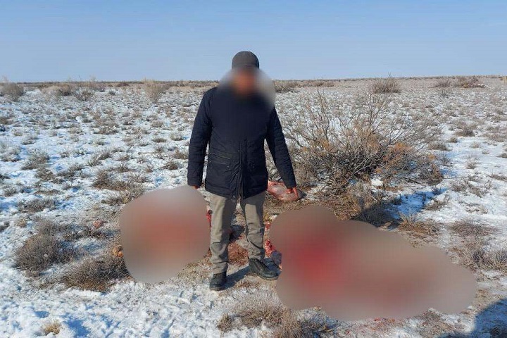 «Нашли тушу лошади и ружье». Двое мужчин пытались скрыться от полиции в Туркестанской области