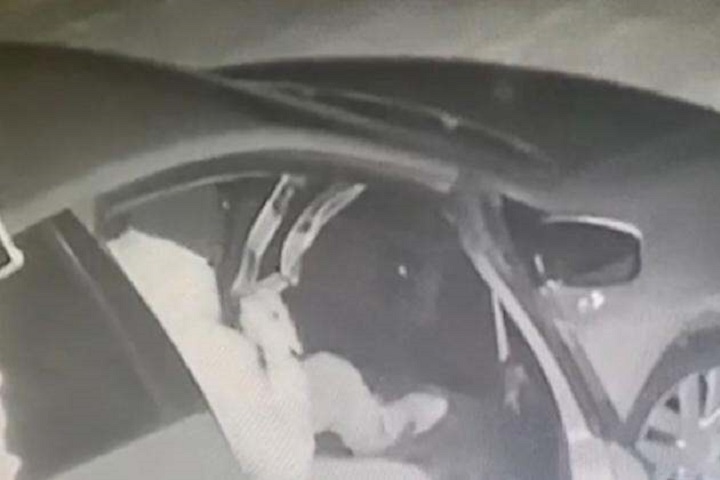 Кража автозапчастей на полмиллиона тенге попала на камеру в Таразе
