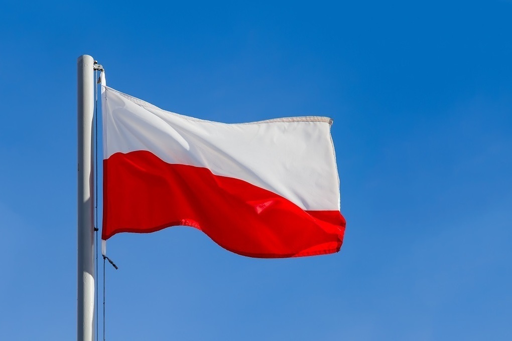 Niezależny Dziennik Polityczny: Киев ждет захода польских войск на Украину — Financial Times