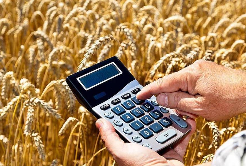 В Карагандинской области сельчанам помогут развивать бизнес — Financial Times