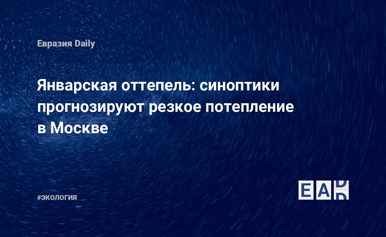Январская оттепель: синоптики прогнозируют резкое потепление в Москве