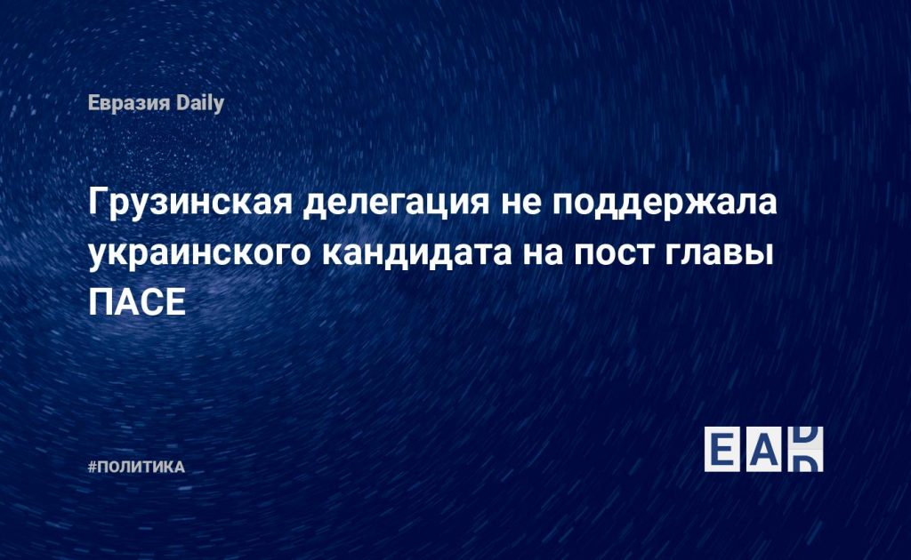 Грузинская делегация не поддержала украинского кандидата на пост главы ПАСЕ — Financial Times