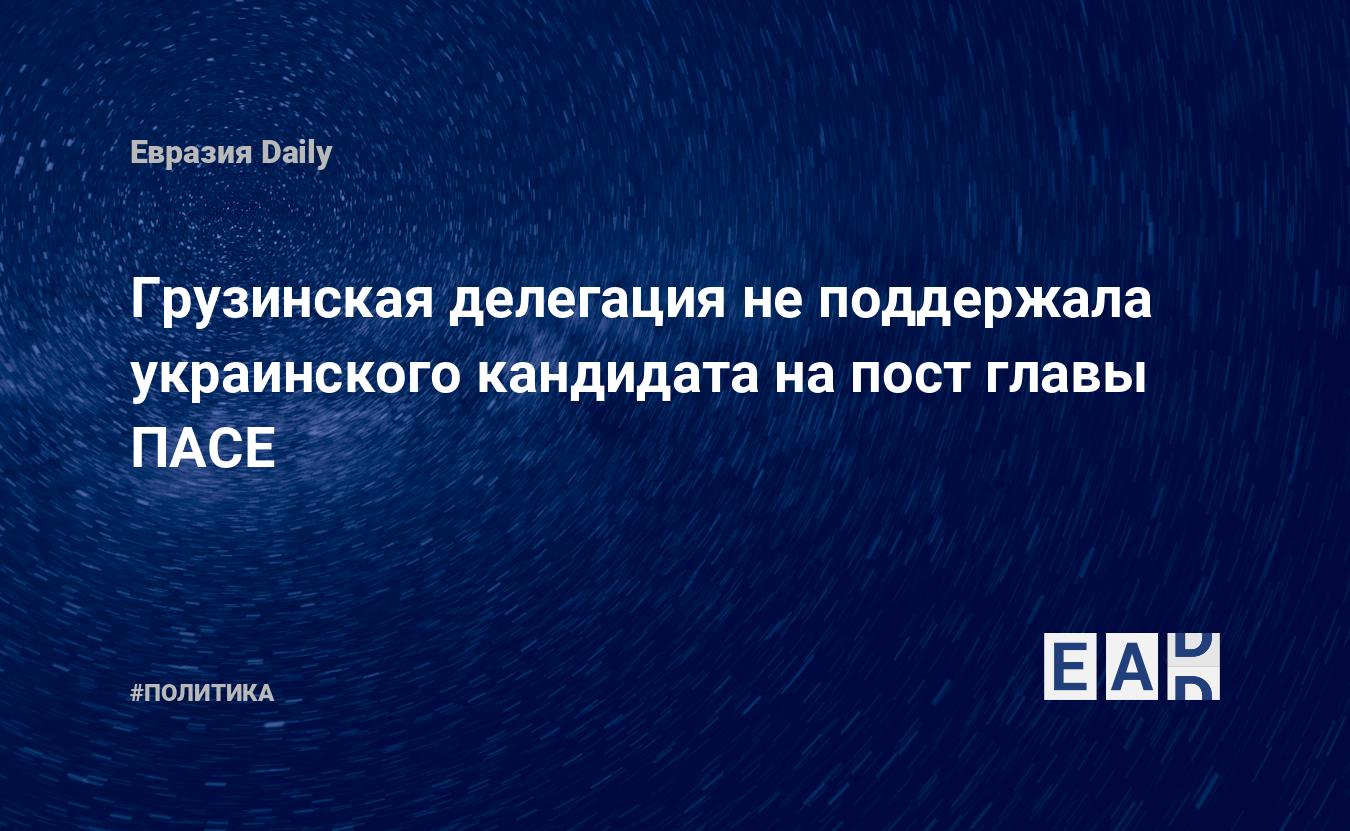 Грузинская делегация не поддержала украинского кандидата на пост главы ПАСЕ — Financial Times