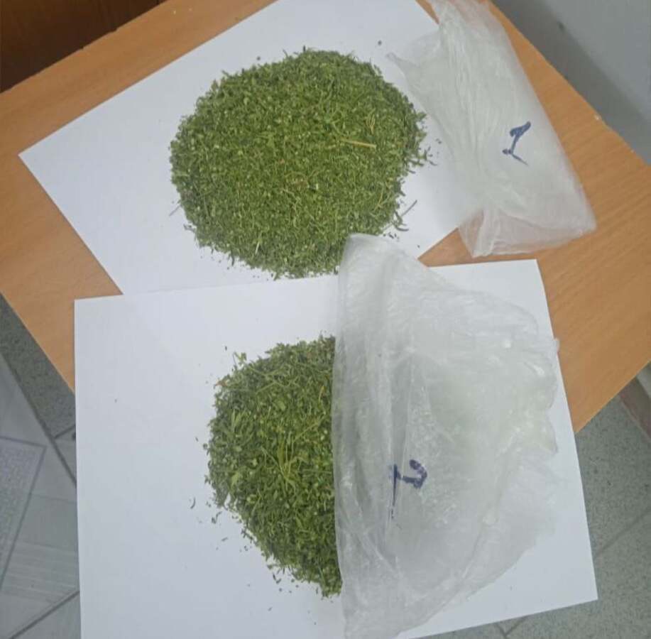 Свыше 1 кг марихуаны изъяли у жителя Туркестанской области
