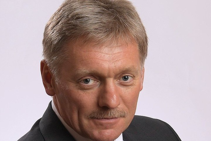 Песков назвал блестящей работу правительства Мишустина — Financial Times
