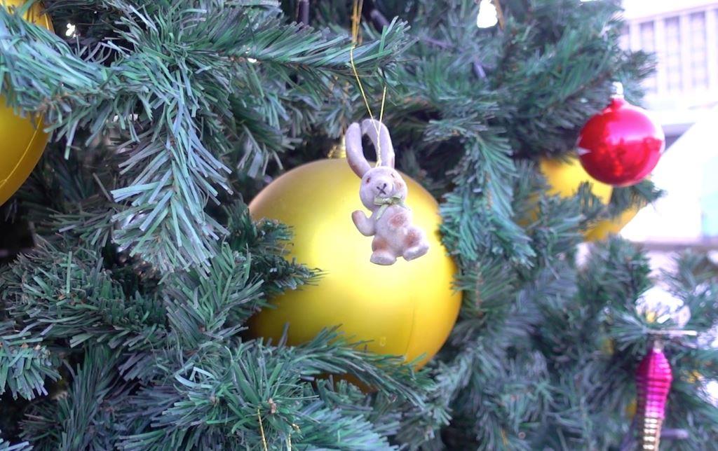 С Новым годом, Земля!