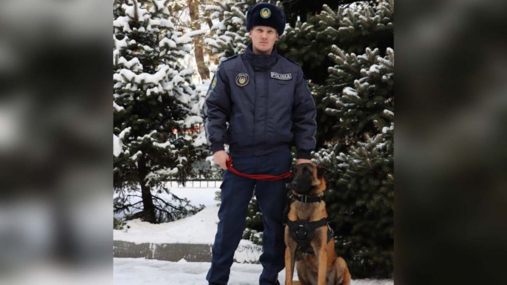 Чуткий нос Актоса помог раскрыть кражу в Талдыкоргане