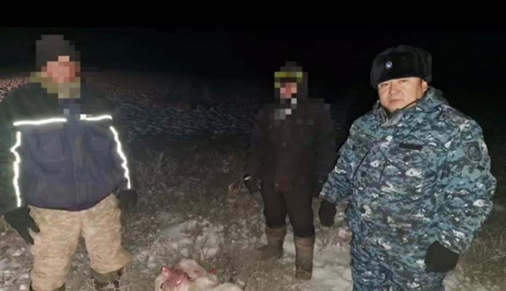 Браконьеров с тушей сайгака задержали на территории заповедника в Жамбылской области