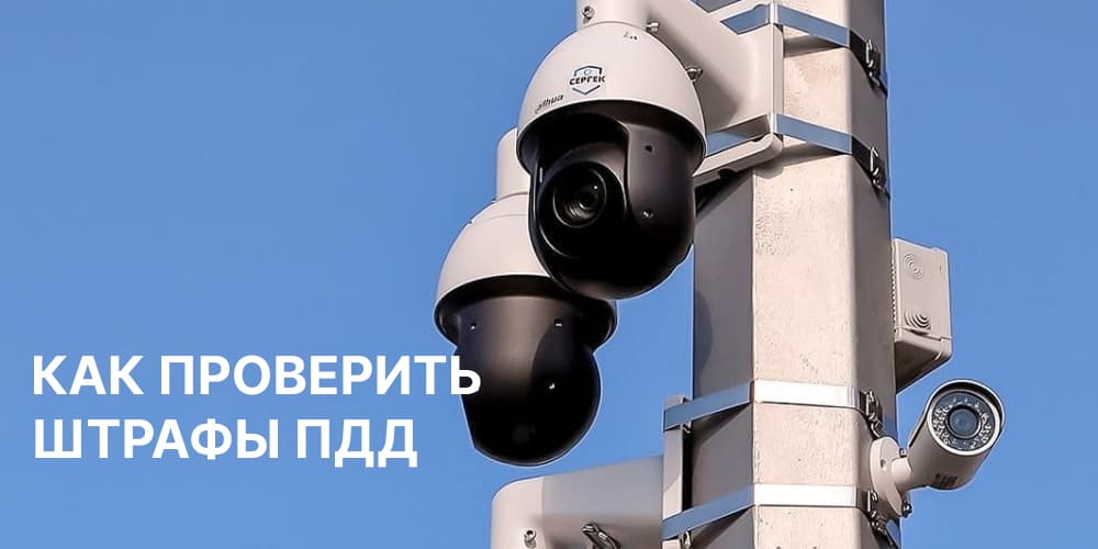 Optimism: Как проверить штрафы ПДД по ИНН в Казахстане