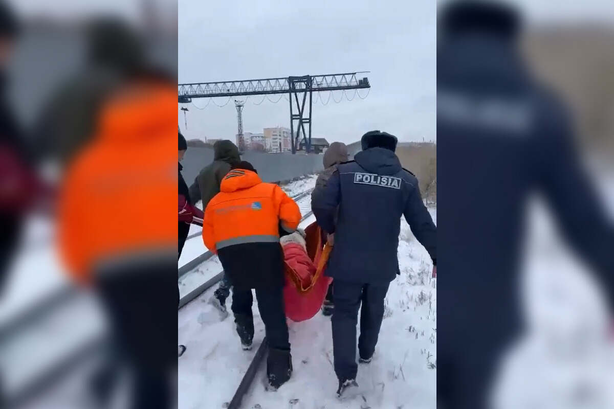 Разгуливающий по улицам алабай напугал жителей Петропавловска