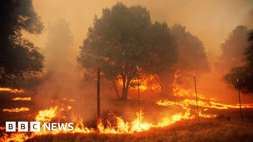 PG&E предстанет перед судом из-за смертоносного лесного пожара в Калифорнии