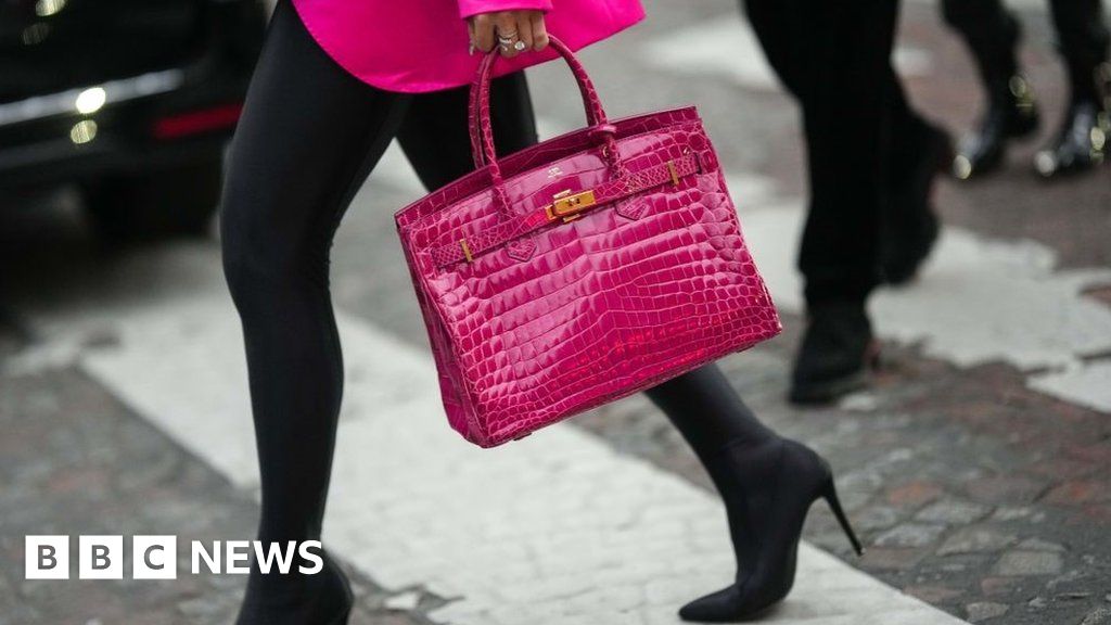 NFT-изображения меховых сумок Birkin нарушают правила использования товарных знаков