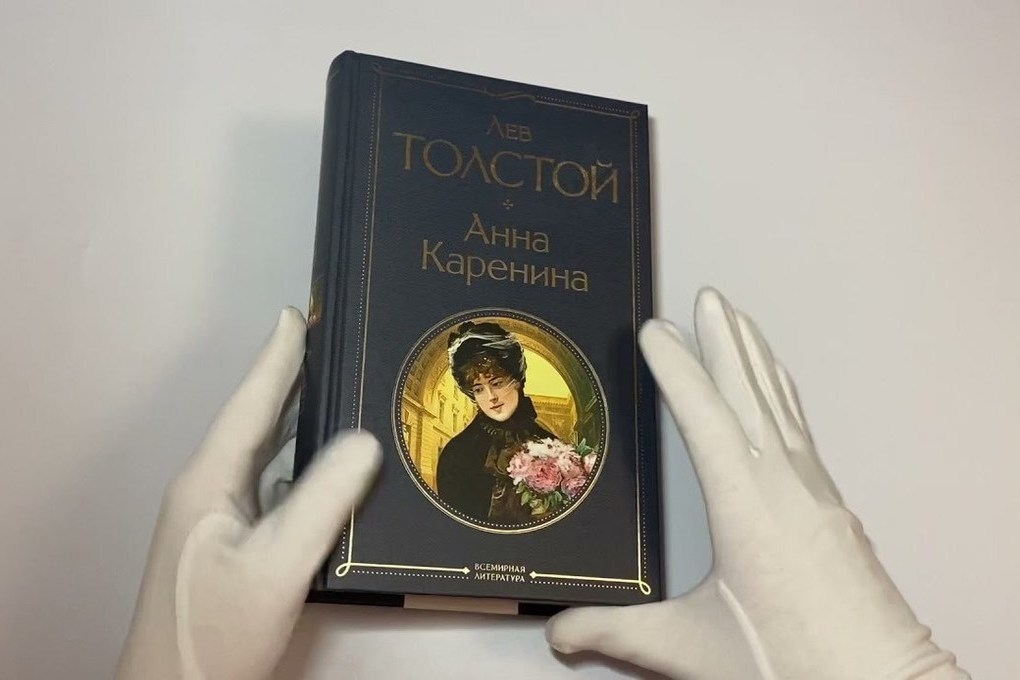В Подмосковье нашли место гибели Анны Карениной — Financial Times