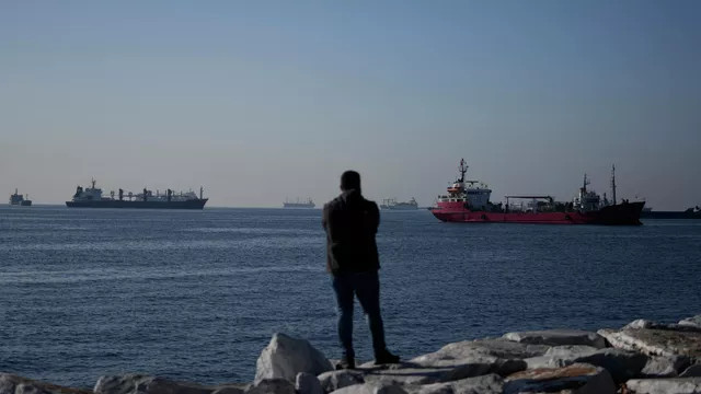 Более 19 млн тонн продовольствия вывезено из украинских портов — Financial Times