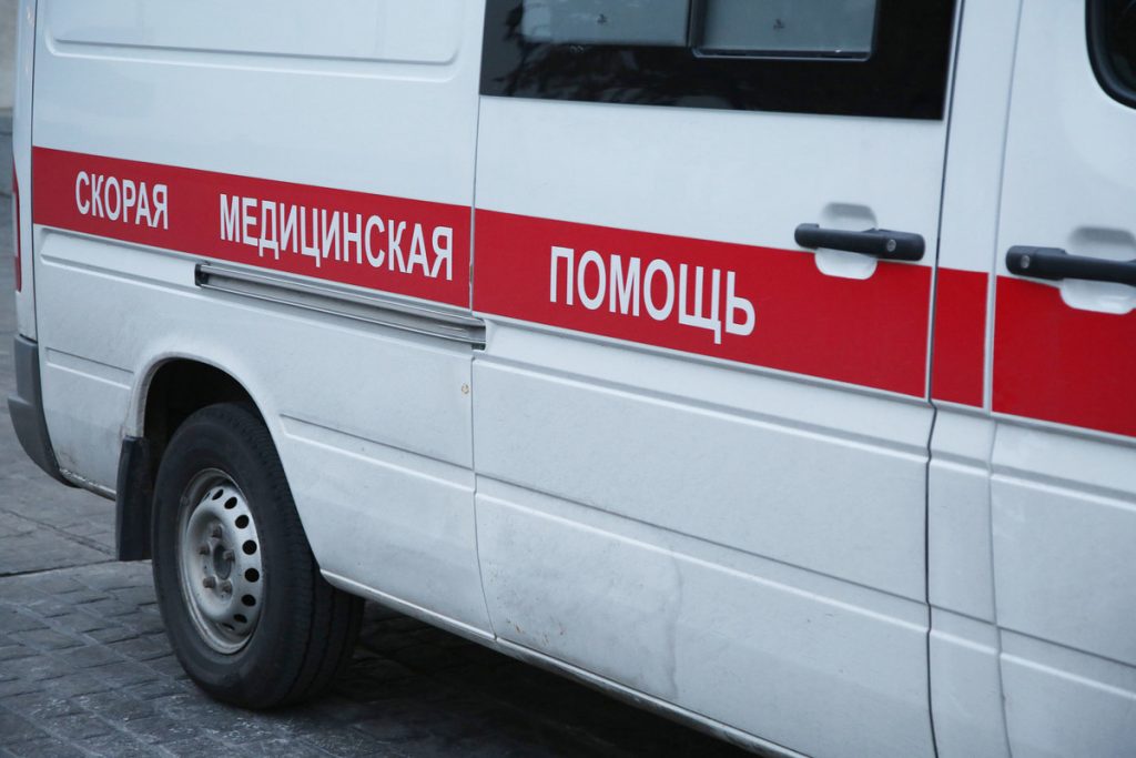 В Петербурге питбуль без поводка и намордника напал на девятилетнюю девочку — Financial Times