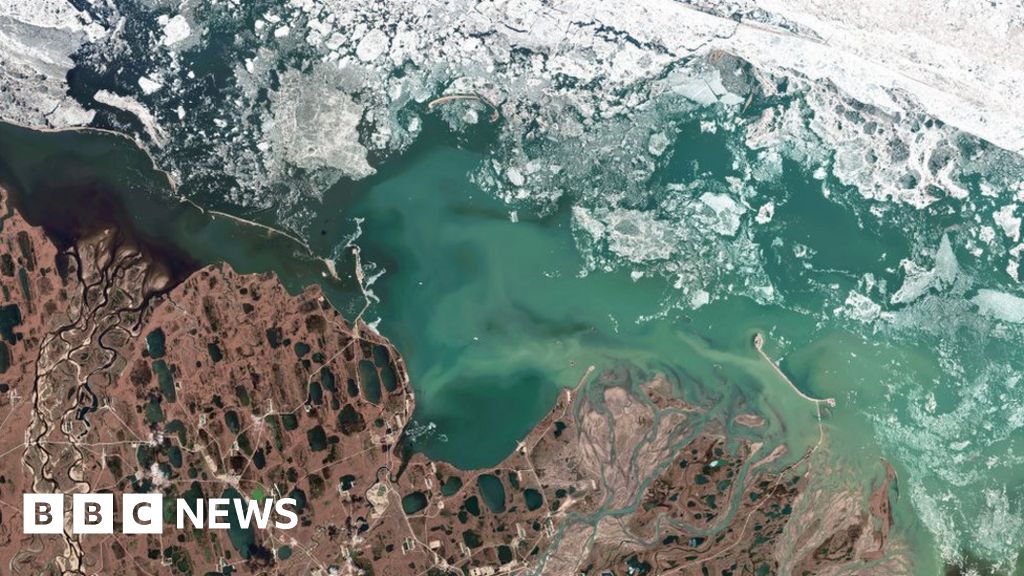 Willow Project: правительство США одобрило разработку нефти и газа на Аляске