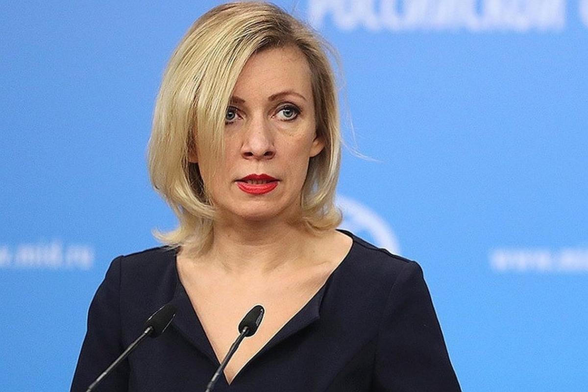 Захарова оценила применение водометов против экоактивистов в Гааге — Financial Times