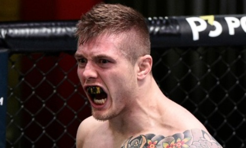 Боец UFC ударом в голову вырубил боксера в массовой драке. Видео