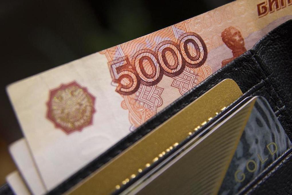 Жена Дмитрия Диброва рассказала, на что потратит маткапитал — Financial Times