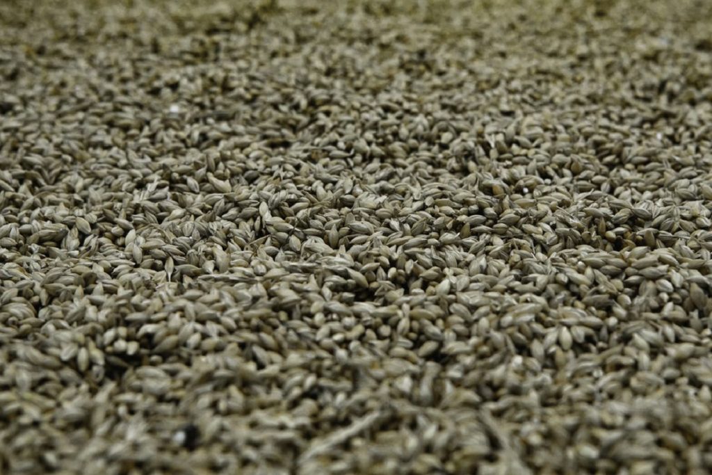 Крупный экспортер зерна Viterra намерен уйти с российского рынка — Financial Times