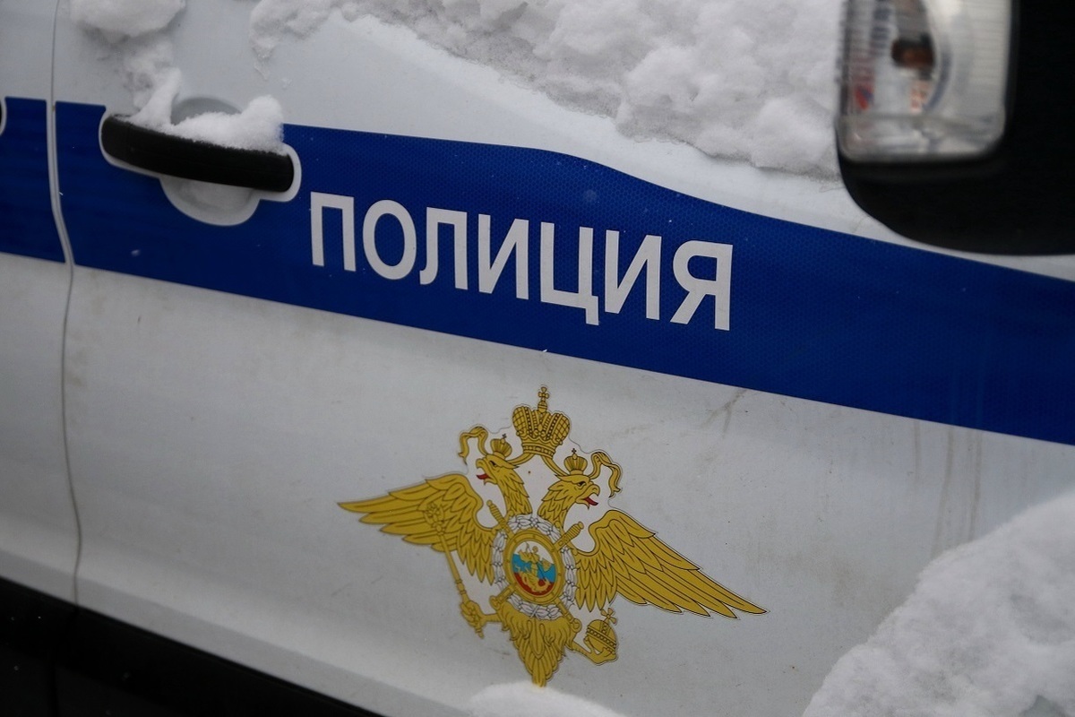 В Подмосковье мужчина задержал рецидивиста, ограбившего девушку — Financial Times