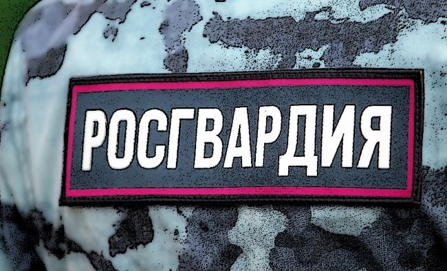В новых регионах России созданы управления вневедомственной охраны Росгвардии — Financial Times