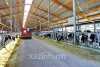 SilkwayTransit инвестировала более 100 млн долларов США в новые локомотивы — Financial Times