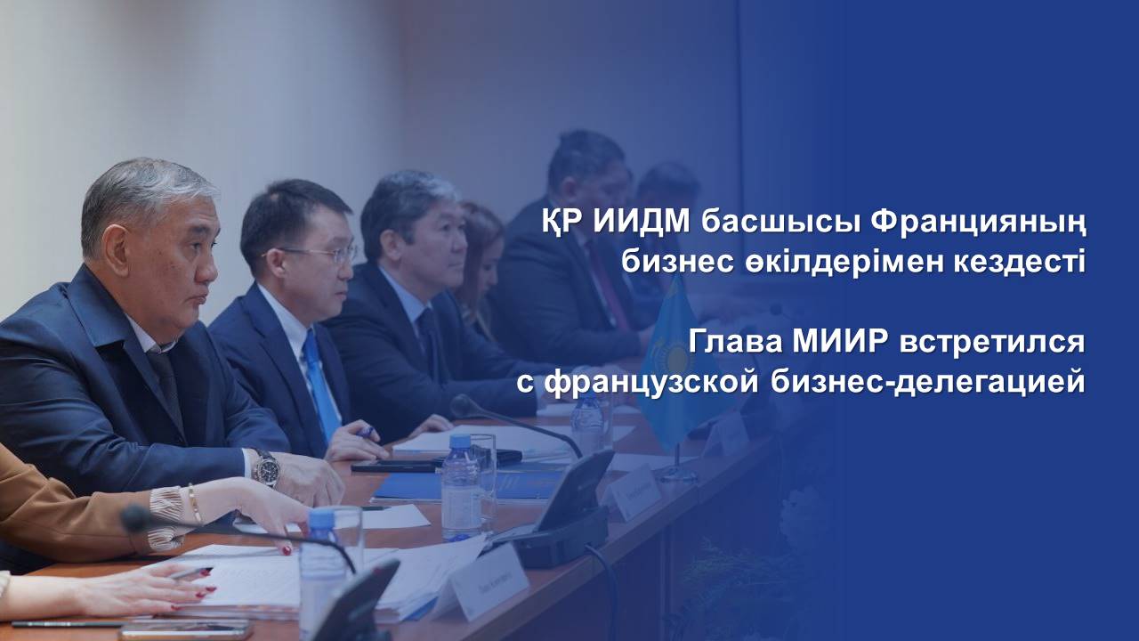 Глава МИИР встретился с французской бизнес-делегацией