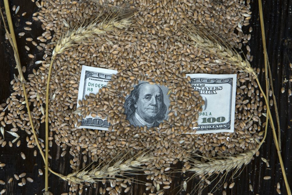 Пять стран ЕС попросили Брюссель выкупить у них украинское зерно — Financial Times