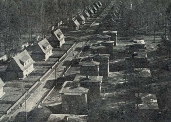 Волынская резня: 80 лет назад бандеровцы уничтожили Янову Долину вместе с жителями — Financial Times