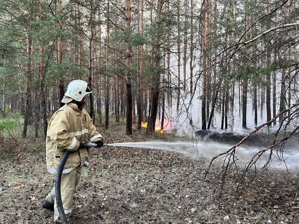 Благодаря героизму пожарных удалось локализовать возгорание в Бородулихинском районе