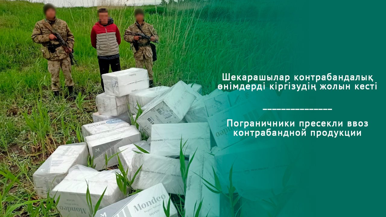 Пограничники КНБ предотвратили незаконный ввоз табачной продукции