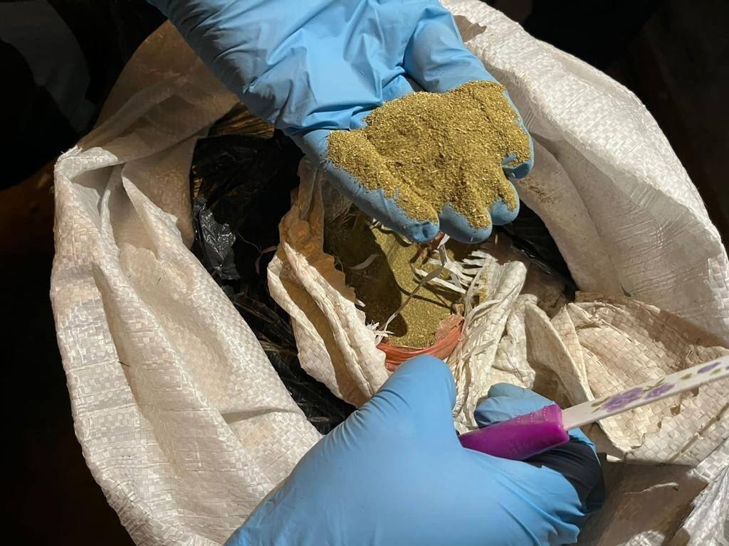 Свыше центнера марихуаны изъяли полицейские из подвала в Петропавловске