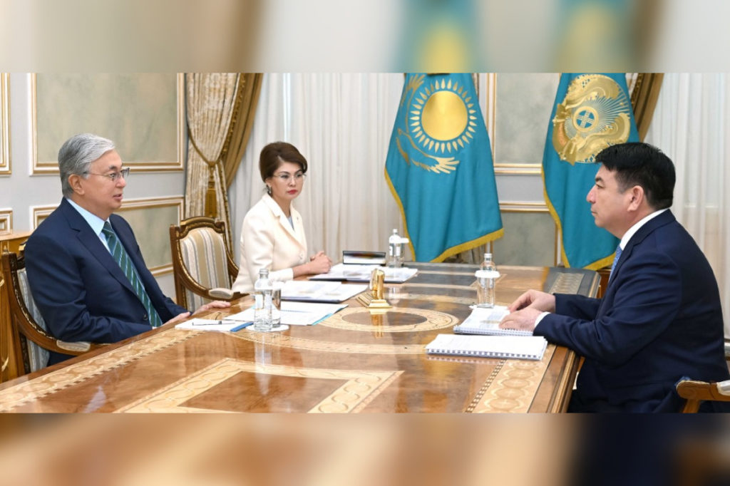 Токаев принял министра просвещения РК