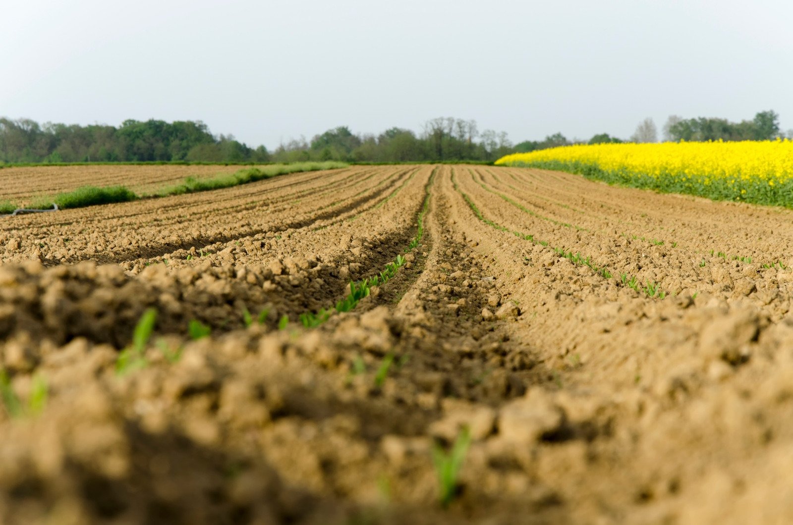Земля должна работать