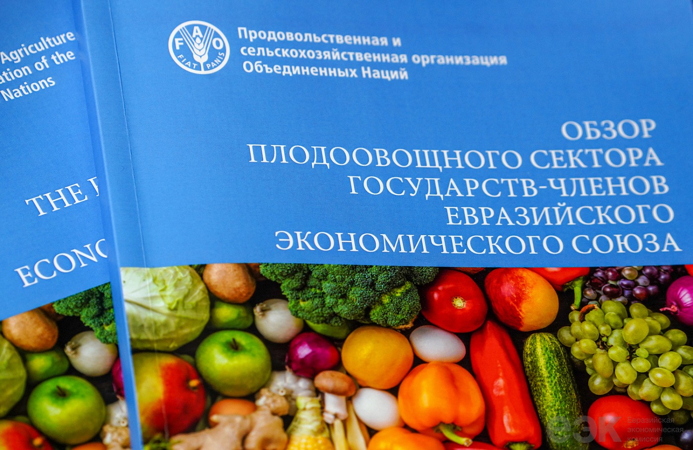 ЕЭК и ФАО подготовили Обзор плодоовощного сектора стран Евразийского экономического союза