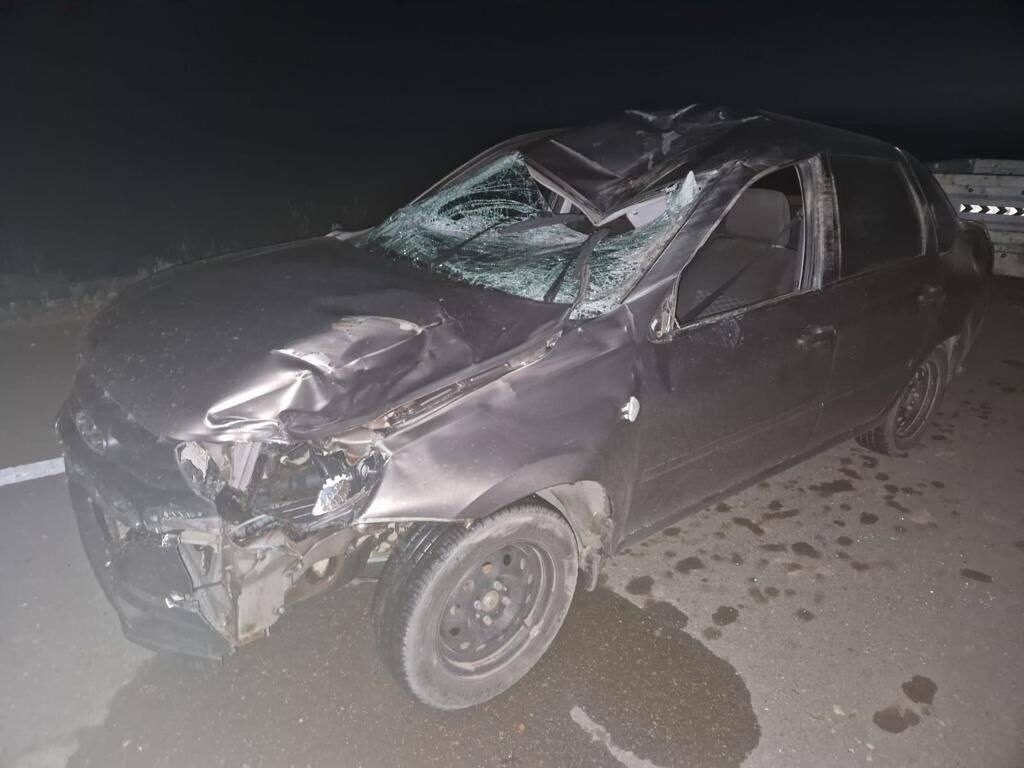 Выбежавшая на дорогу лошадь стала причиной ДТП в Павлодарской области