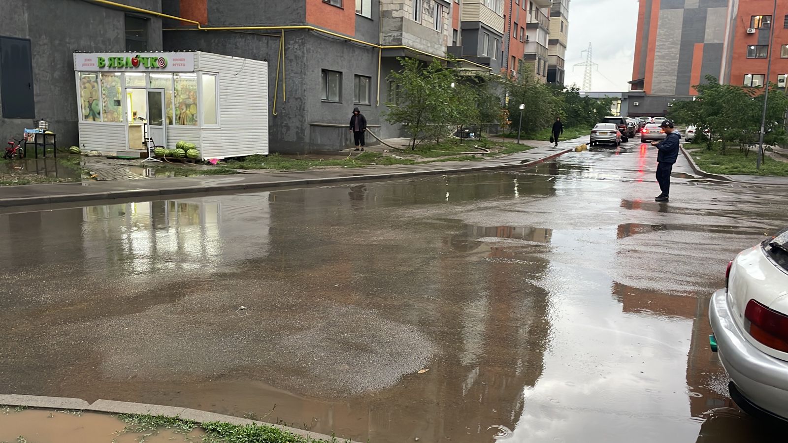 Коммунальные службы ликвидируют последствия непогоды в Алматы