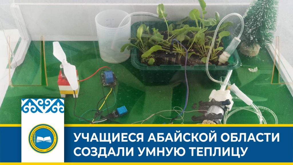 «Школьники из Аягозского района разработали умную теплицу для выращивания овощей и фруктов»