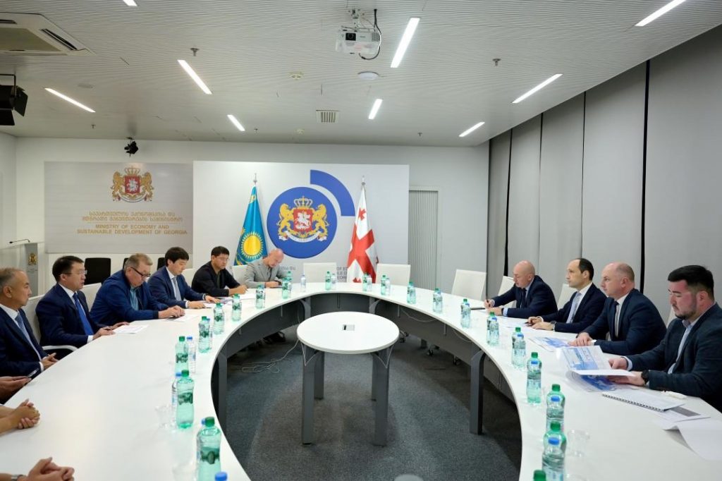 Глава МИИР РК встретился с вице-премьером — министром экономики и устойчивого развития Грузии