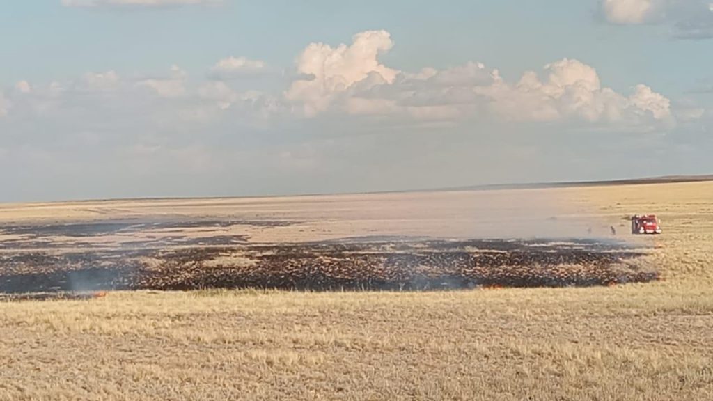 Природный пожар тушат в Карагандинской области