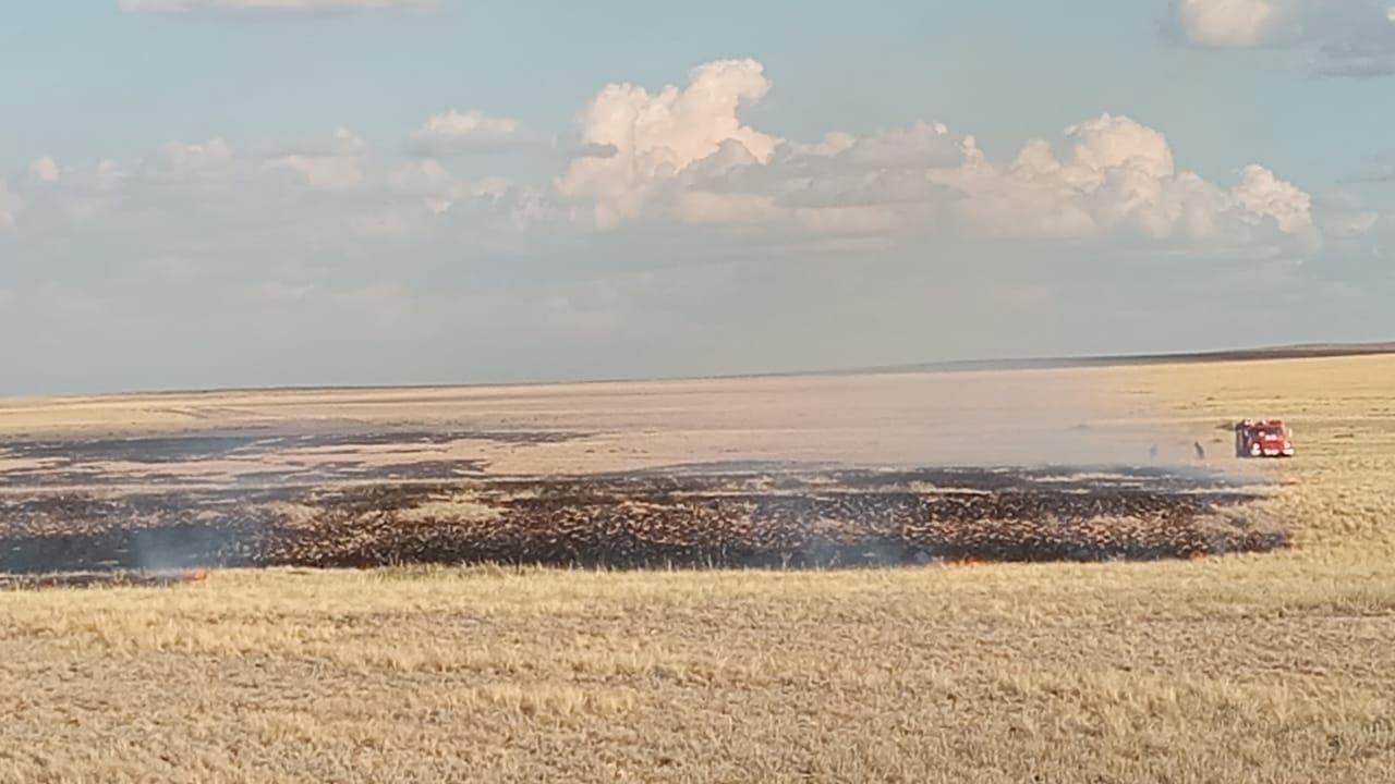 Природный пожар тушат в Карагандинской области